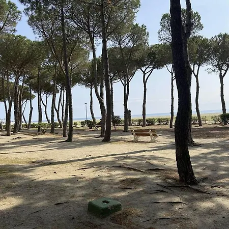 2 Pieces - Front De A - Fr-1-225-667 * Argeles-sur-Mer
