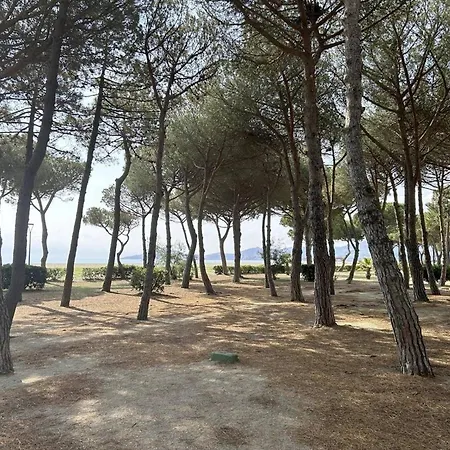 2 Pieces - Front De A - Fr-1-225-667 Apartment Argeles-sur-Mer